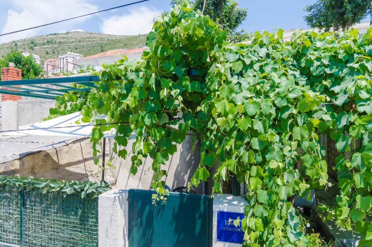 Apartment Adea Dubrovník Exteriér fotografie